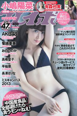 和平卫士